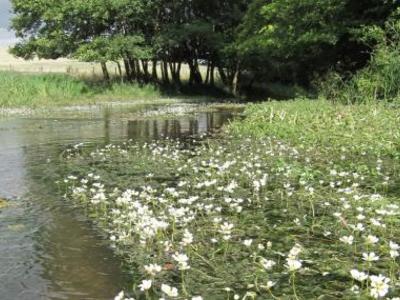 Herts and Middlesex Wildlife